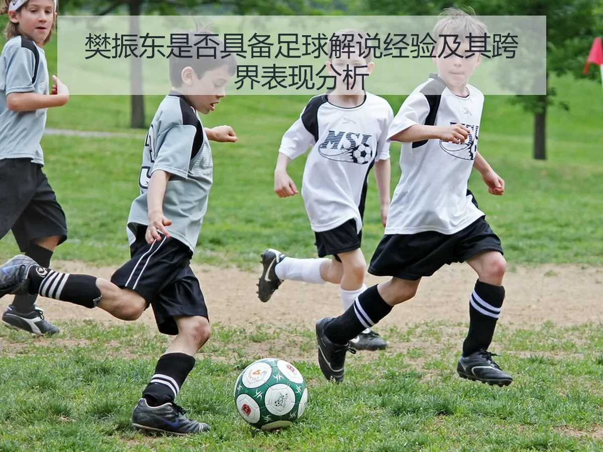 樊振东是否具备足球解说经验及其跨界表现分析