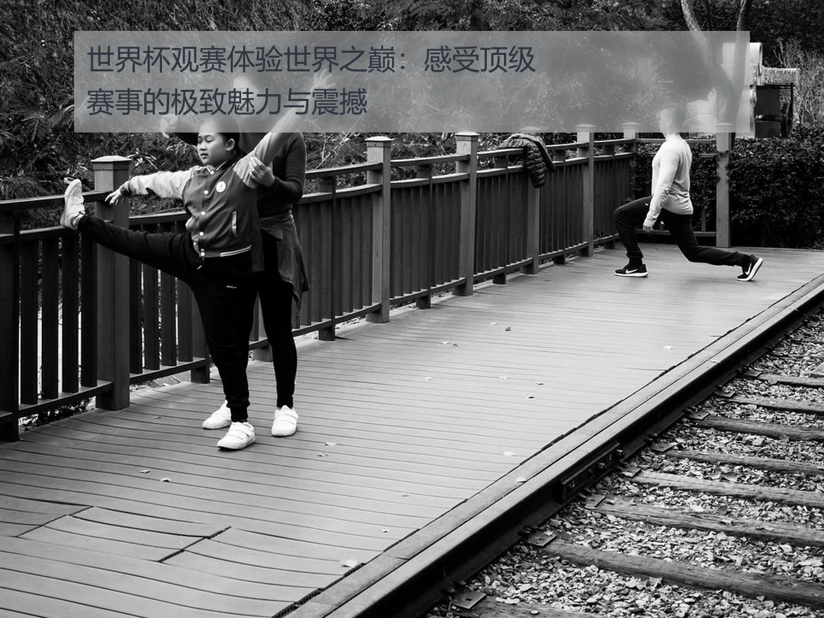 世界杯观赛体验世界之巅:感受顶级赛事的极致魅力与震撼